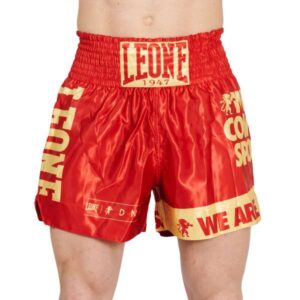 Short / Bermudas Kick Boxing/Boxeo/Muay Thai