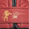 GN059 Guantes de boxeo - Imagen 4