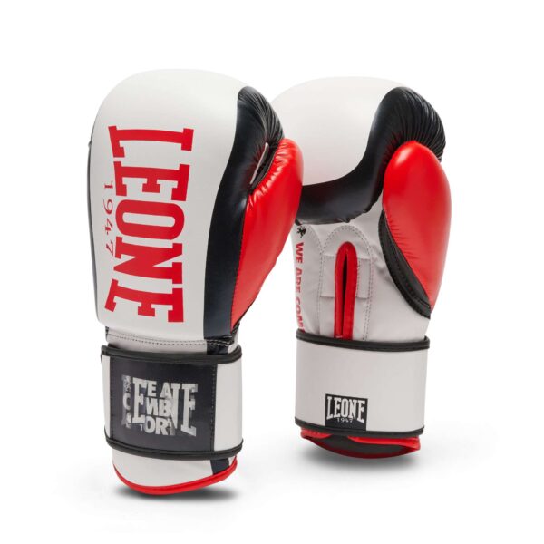 GN333 Guantes de boxeo WACS