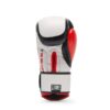 GN333 Guantes de boxeo WACS - Imagen 3