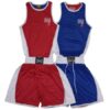 Set amateur reversible Boxeo