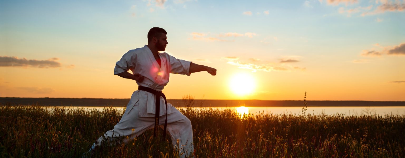 Silhouette of young sportive man training karate in field at sunrise.
